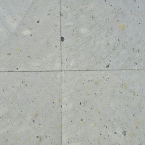 Muestra de Blanca Mexicana
